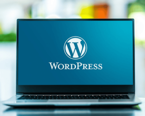 Why WordPress is the Top CMS Choice in 2025 vs Drupal