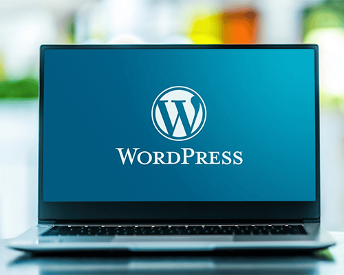 Why WordPress is the Top CMS Choice in 2025 vs Drupal